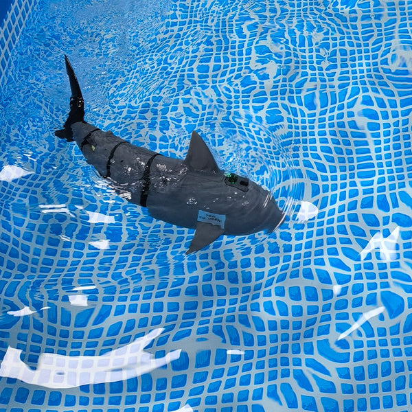 Open Source Bionic Robotic Fish with Smart Control and Three Joints ...