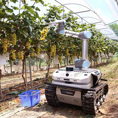 Intelligent Agriculture Harvesting Solution